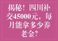 揭秘！四川补交45000元，每月能拿多少养老金？